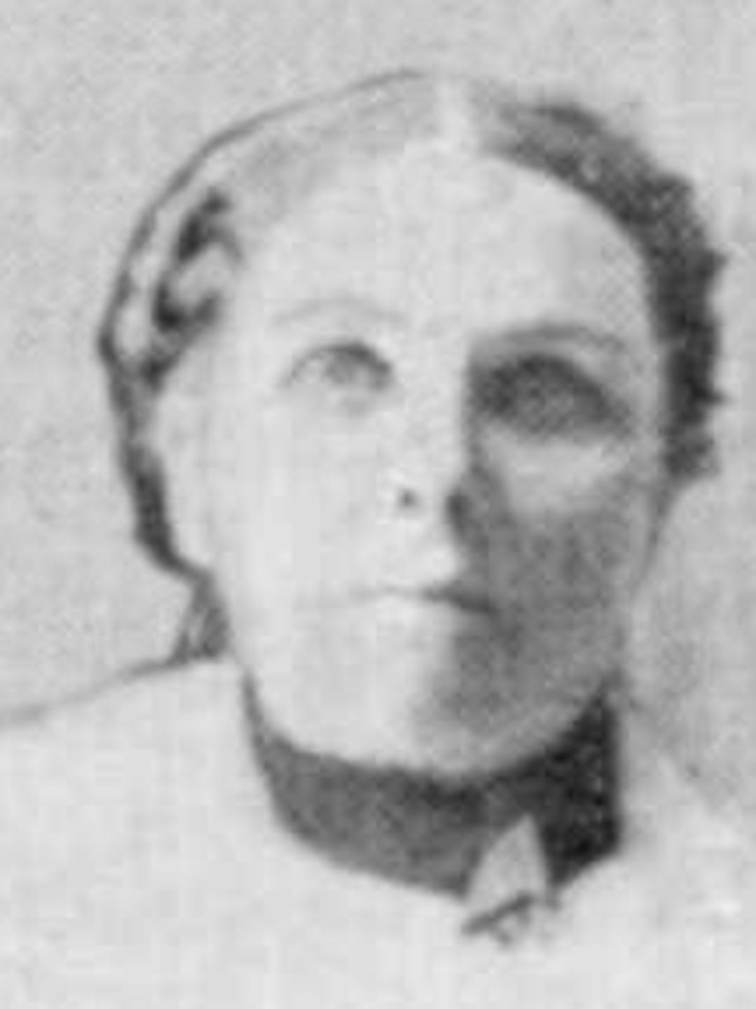 Sophronia Elizabeth Hunt (1848 - 1942) Profile